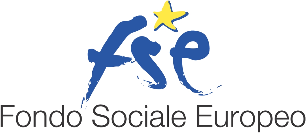 logo fse