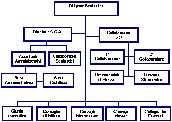 organigramma